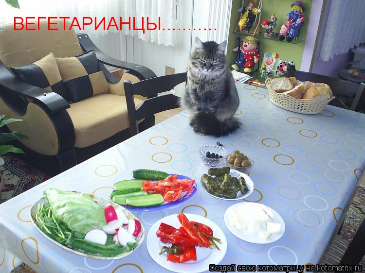Котоматрица: ВЕГЕТАРИАНЦЫ...........