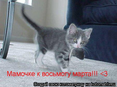 Котоматрица: Мамочке к восьмогу марта!!! <3