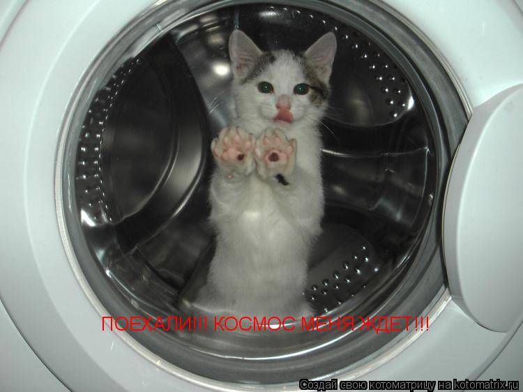 Котоматрица: ПОЕХАЛИ!!! КОСМОС МЕНЯ ЖДЕТ!!!