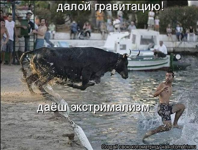 Котоматрица: далой гравитацию! даёш экстримализм