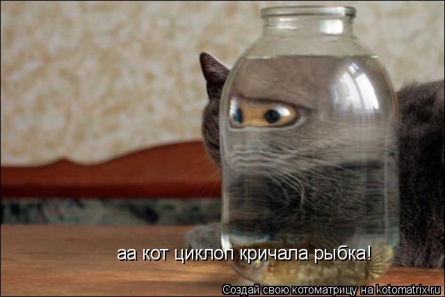 Котоматрица: аа кот циклоп кричала рыбка!