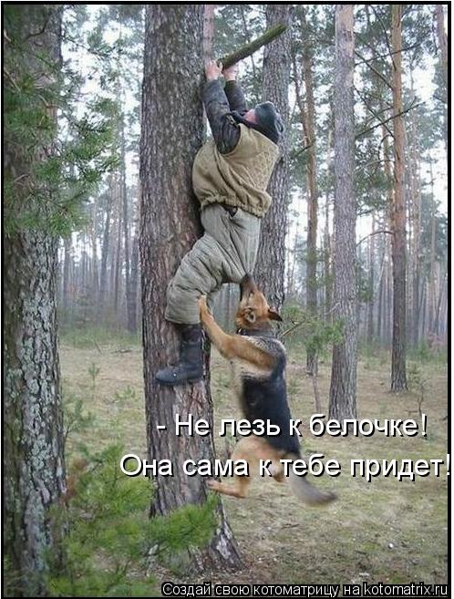 - Не лезь к белочке! Она сама к тебе придет!... Котоматрица: - Не лезь к белочке! Она сама к тебе придет!