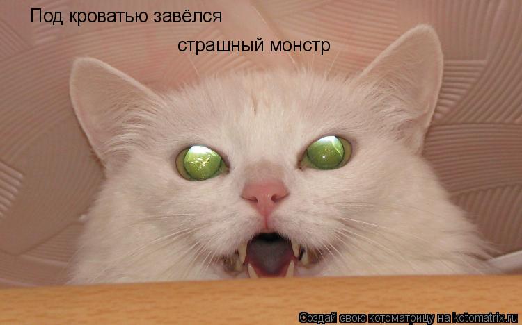 Котоматрица: Под кроватью завёлся  страшный монстр