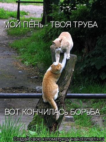МОЙ ПЕНь - ТВОЯ ТРУБА ВОТ КОНЧИЛАСь БОРьБА... Котоматрица: МОЙ ПЕНь - ТВОЯ ТРУБА ВОТ КОНЧИЛАСь БОРьБА