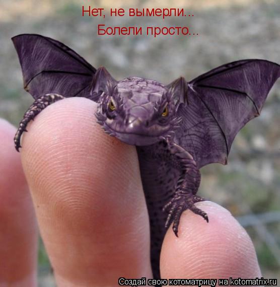 Нет, не вымерли... Болели просто...... Котоматрица: Нет, не вымерли... Болели просто...