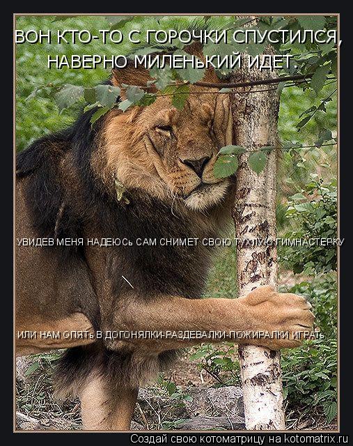 ВОН КТО-ТО С ГОРОЧКИ СПУСТИЛСЯ, НАВЕРНО МИЛЕНьКИЙ ИДЕТ. УВИДЕВ МЕНЯ НАДЕЮСь САМ СНИМЕТ СВОЮ ТУХЛУЮ Г... Котоматрица: ВОН КТО-ТО С ГОРОЧКИ СПУСТИЛСЯ, НАВЕРНО МИЛЕНьКИЙ ИДЕТ. УВИДЕВ МЕНЯ НАДЕЮСь САМ СНИМЕТ СВОЮ ТУХЛУЮ ГИМНАСТЕРКУ ИЛИ НАМ ОПЯТь В ДОГОНЯЛКИ-РА