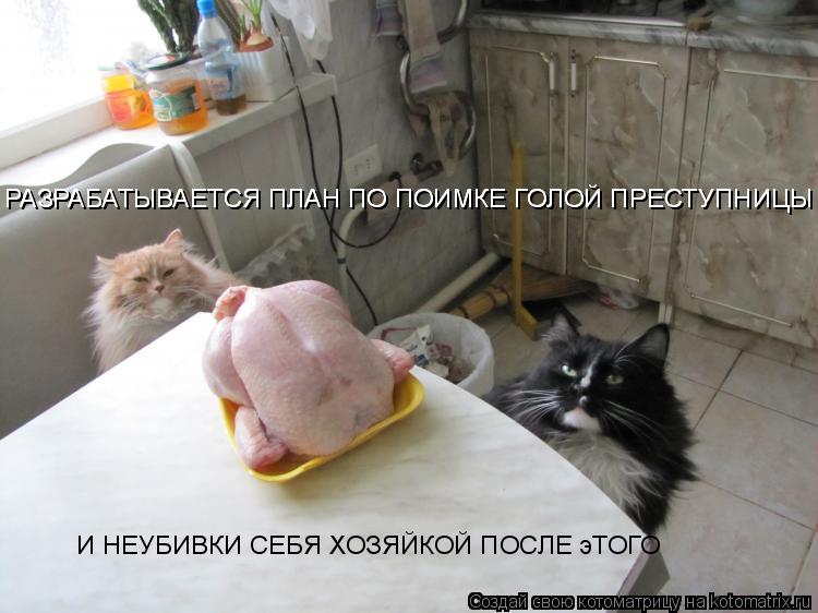 РАЗРАБАТЫВАЕТСЯ ПЛАН ПО ПОИМКЕ ГОЛОЙ ПРЕСТУПНИЦЫ РАЗРАБАТЫВАЕТСЯ ПЛАН ПО ПОИМКЕ ГОЛОЙ ПРЕСТУПНИЦЫ И Н... Котоматрица: РАЗРАБАТЫВАЕТСЯ ПЛАН ПО ПОИМКЕ ГОЛОЙ ПРЕСТУПНИЦЫ РАЗРАБАТЫВАЕТСЯ ПЛАН ПО ПОИМКЕ ГОЛОЙ ПРЕСТУПНИЦЫ И НЕУБИВКИ СЕБЯ ХОЗЯЙКОЙ ПОСЛЕ эТОГО