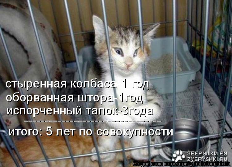 стыренная колбаса-1 год оборванная штора-1год испорченный тапок-3года -------------------------------... Котоматрица: стыренная колбаса-1 год оборванная штора-1год испорченный тапок-3года --------------------------------- итого: 5 лет по совокупности