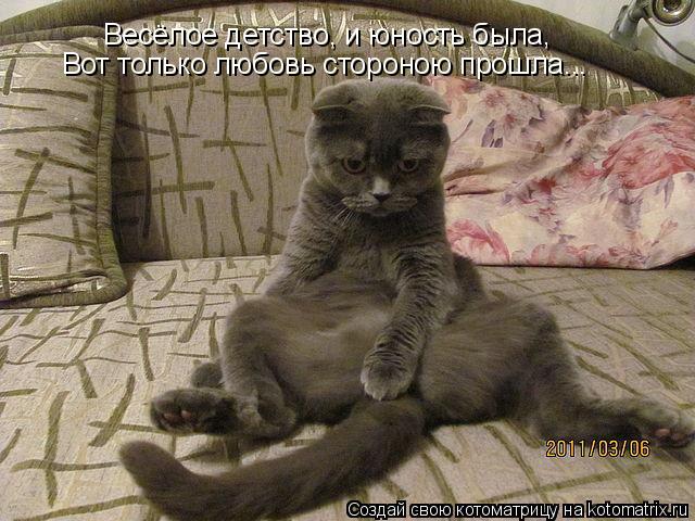 Весёлое детство, и юность была, Вот только любовь стороною прошла...... Котоматрица: Весёлое детство, и юность была, Вот только любовь стороною прошла...