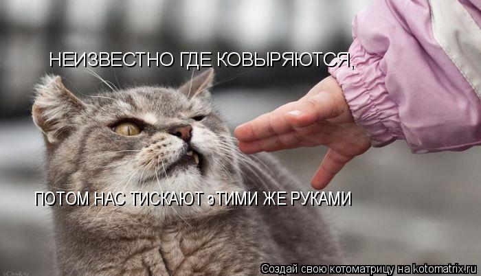НЕИЗВЕСТНО ГДЕ КОВЫРЯЮТСЯ, ПОТОМ НАС ТИСКАЮТ эТИМИ ЖЕ РУКАМИ... Котоматрица: НЕИЗВЕСТНО ГДЕ КОВЫРЯЮТСЯ, ПОТОМ НАС ТИСКАЮТ эТИМИ ЖЕ РУКАМИ