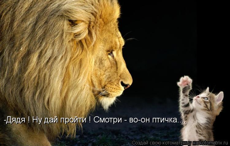 -Дядя ! Ну дай пройти ! Смотри - во-он птичка....... Котоматрица: -Дядя ! Ну дай пройти ! Смотри - во-он птичка....