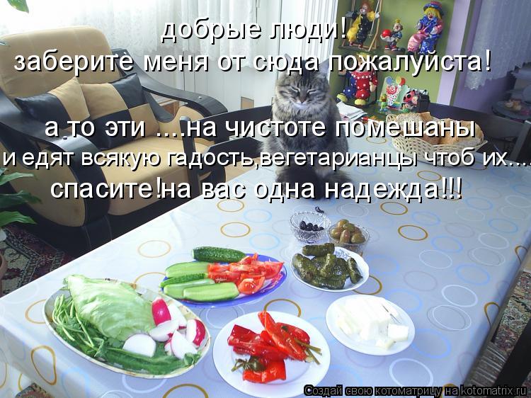 добрые люди! заберите меня от сюда пожалуйста! а то эти ....на чистоте помешаны и едят всякую гадость... Котоматрица: добрые люди! заберите меня от сюда пожалуйста! а то эти ....на чистоте помешаны и едят всякую гадость,вегетарианцы чтоб их.... спасите!на вас од