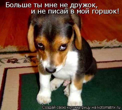 Больше ты мне не дружок, и не писай в мой горшок!... Котоматрица: Больше ты мне не дружок, и не писай в мой горшок!