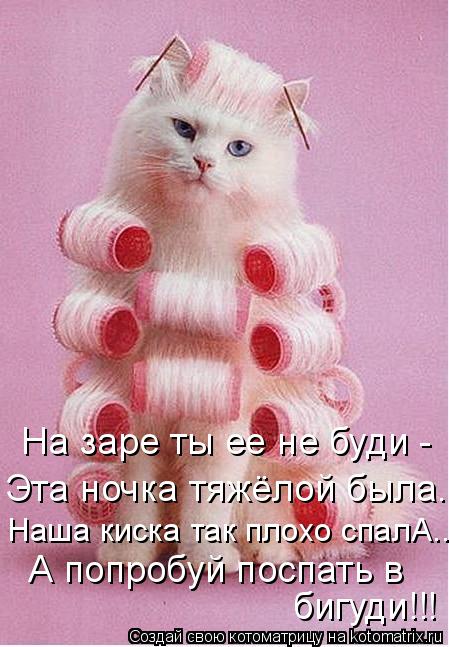 На заре ты ее не буди - Эта ночка тяжёлой была... А попробуй поспать в бигуди!!! Наша киска так плох... Котоматрица: На заре ты ее не буди - Эта ночка тяжёлой была... А попробуй поспать в бигуди!!! Наша киска так плохо спалА...