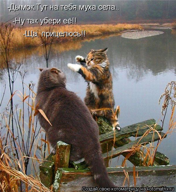 -Дымок.Тут на тебя муха села.. -Ну так убери её!! -Ща, прицелюсь!!... Котоматрица: -Дымок.Тут на тебя муха села.. -Ну так убери её!! -Ща, прицелюсь!!