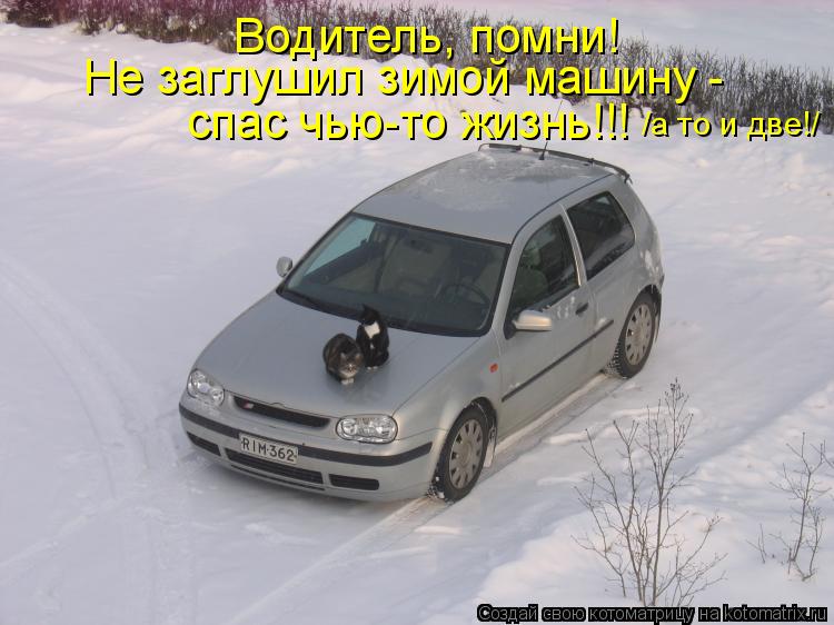 Водитель, помни! Не заглушил зимой машину - спас чью-то жизнь!!! /а то и две!/... Котоматрица: Водитель, помни! Не заглушил зимой машину - спас чью-то жизнь!!! /а то и две!/