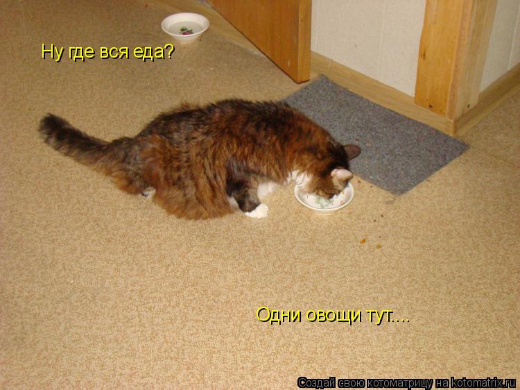 Ну где вся еда? Одни овощи тут....... Котоматрица: Ну где вся еда? Одни овощи тут....