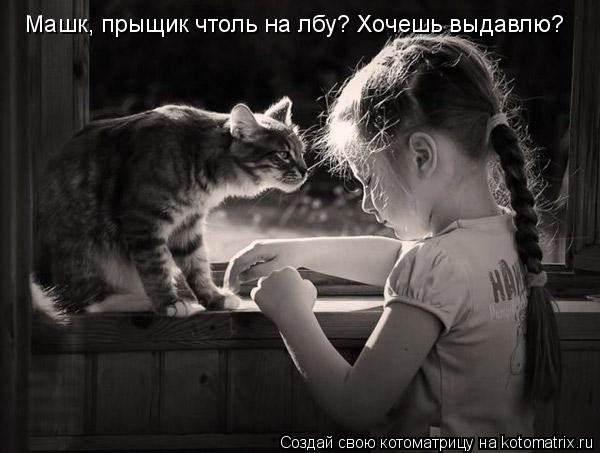 Машк, прыщик чтоль на лбу? Хочешь выдавлю?... Котоматрица: Машк, прыщик чтоль на лбу? Хочешь выдавлю?