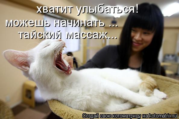 хватит улыбаться! можешь начинать ... тайский массаж...... Котоматрица: хватит улыбаться! можешь начинать ... тайский массаж...