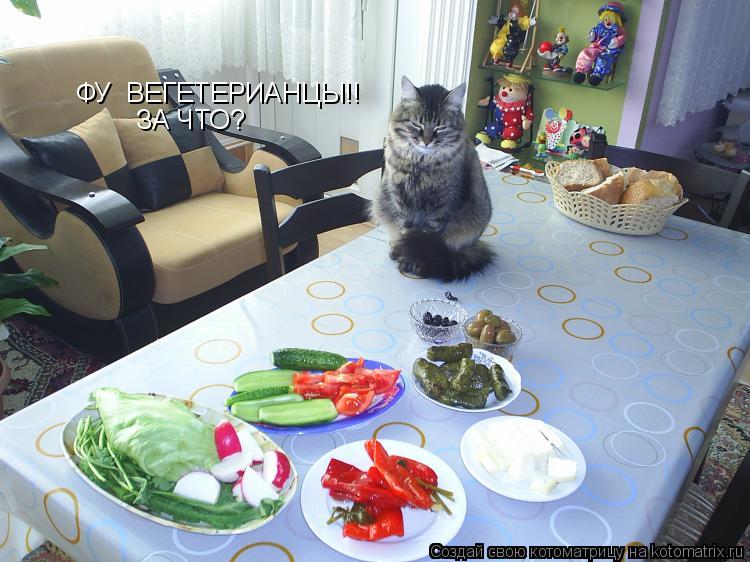 ФУ ВЕГЕТЕРИАНЦЫ!! ЗА ЧТО?... Котоматрица: ФУ ВЕГЕТЕРИАНЦЫ!! ЗА ЧТО?