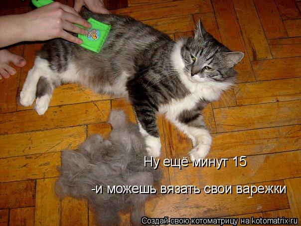 Ну ещё минут 15 -и можешь вязать свои варежки... Котоматрица: Ну ещё минут 15 -и можешь вязать свои варежки