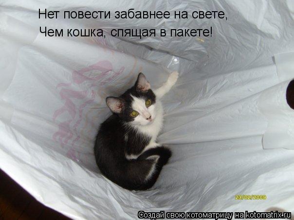 Нет повести забавнее на свете, Чем кошка, спящая в пакете!... Котоматрица: Нет повести забавнее на свете, Чем кошка, спящая в пакете!