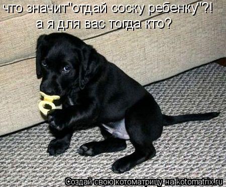 что значит"отдай соску ребенку"?! а я для вас тогда кто?... Котоматрица: что значит"отдай соску ребенку"?! а я для вас тогда кто?