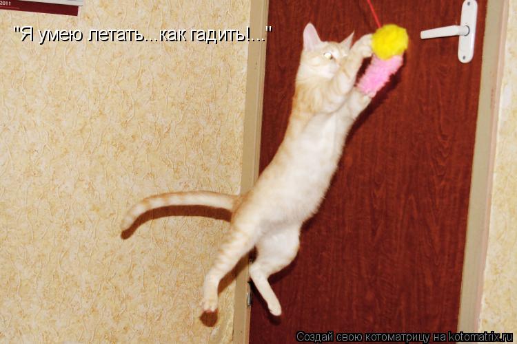 "Я умею летать...как гадить!..."... Котоматрица: "Я умею летать...как гадить!..."