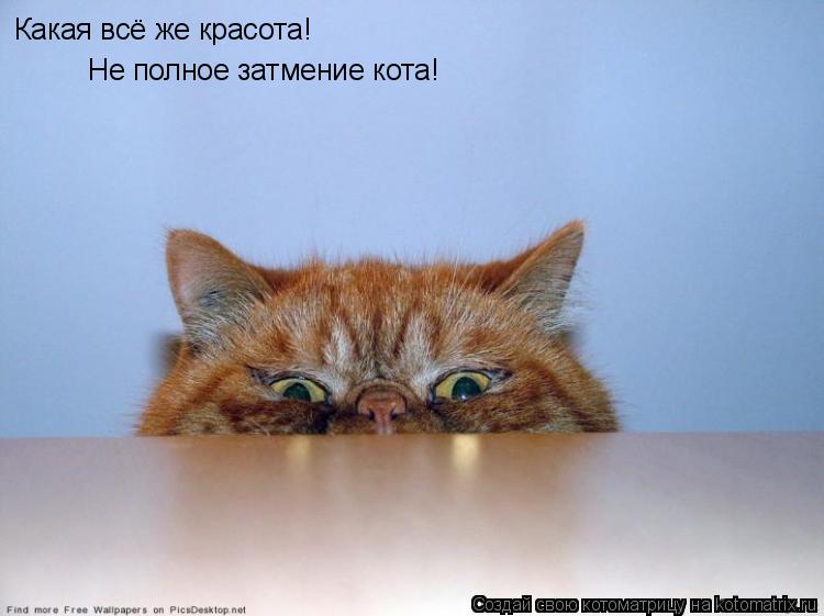 Какая всё же красота! Не полное затмение кота!... Котоматрица: Какая всё же красота! Не полное затмение кота!