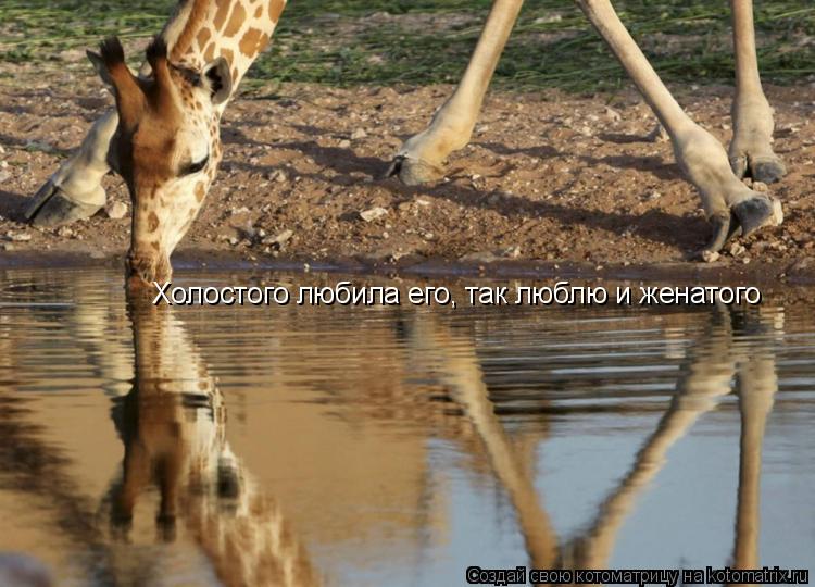 Холостого любила его, так люблю и женатого... Котоматрица: Холостого любила его, так люблю и женатого