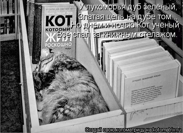 У лукоморья дуб зелёный, Златая цепь на дубе том... Но днём и ночью Кот учёный Всё спал за книжным ст... Котоматрица: У лукоморья дуб зелёный, Златая цепь на дубе том... Но днём и ночью Кот учёный Всё спал за книжным стелажом.