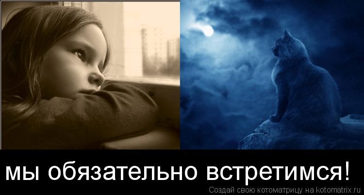 мы обязательно встретимся!... Котоматрица: мы обязательно встретимся!