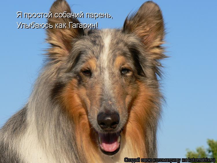 Я простой собачий парень, Улыбаюсь как Гагарин!... Котоматрица: Я простой собачий парень, Улыбаюсь как Гагарин!