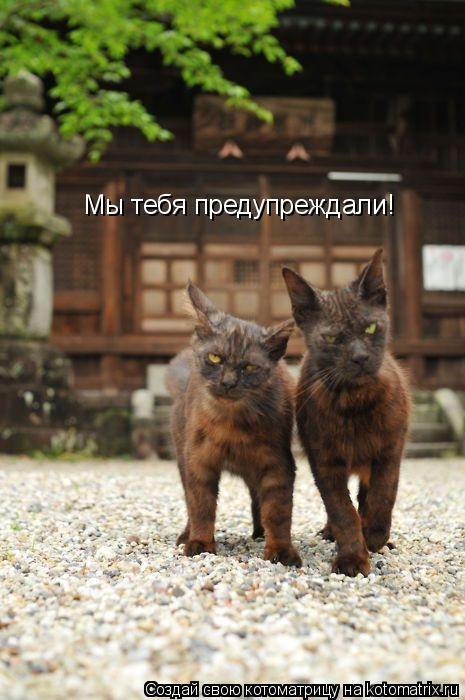 Мы тебя предупреждали!... Котоматрица: Мы тебя предупреждали!