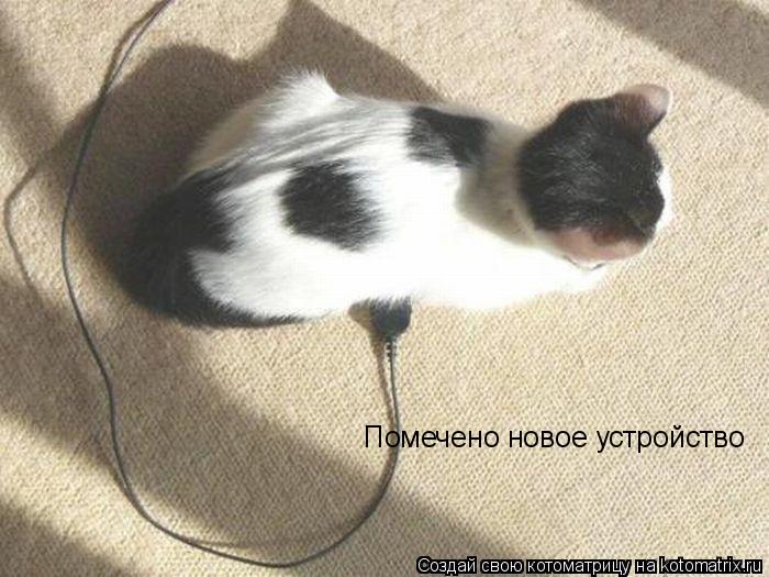 Помечено новое устройство... Котоматрица: Помечено новое устройство