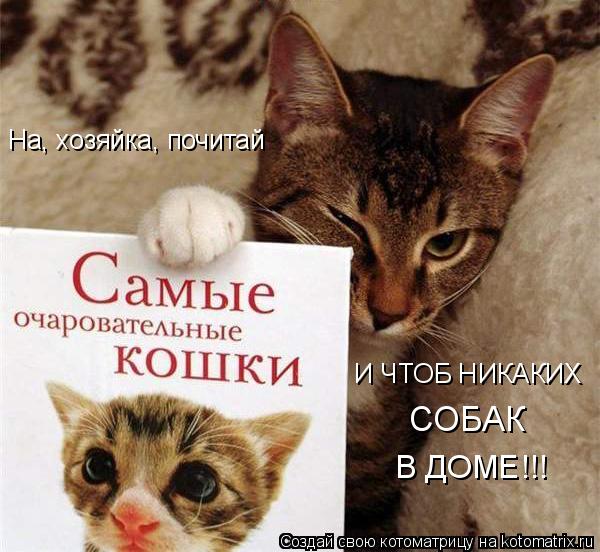 На, хозяйка, почитай И ЧТОБ НИКАКИХ СОБАК В ДОМЕ!!!... Котоматрица: На, хозяйка, почитай И ЧТОБ НИКАКИХ СОБАК В ДОМЕ!!!