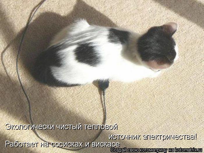 Экологически чистый тепловой источник электричества! Работает на сосисках и вискасе... Котоматрица: Экологически чистый тепловой источник электричества! Работает на сосисках и вискасе