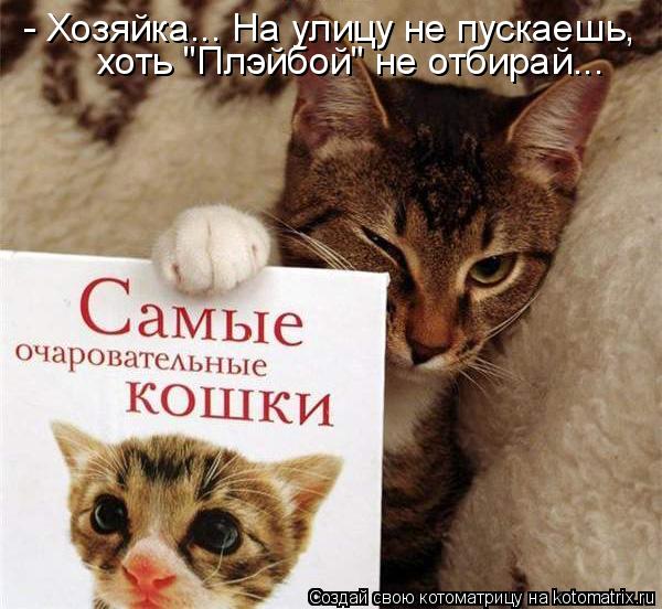 - Хозяйка... На улицу не пускаешь, хоть "Плэйбой" не отбирай...... Котоматрица: - Хозяйка... На улицу не пускаешь, хоть "Плэйбой" не отбирай...