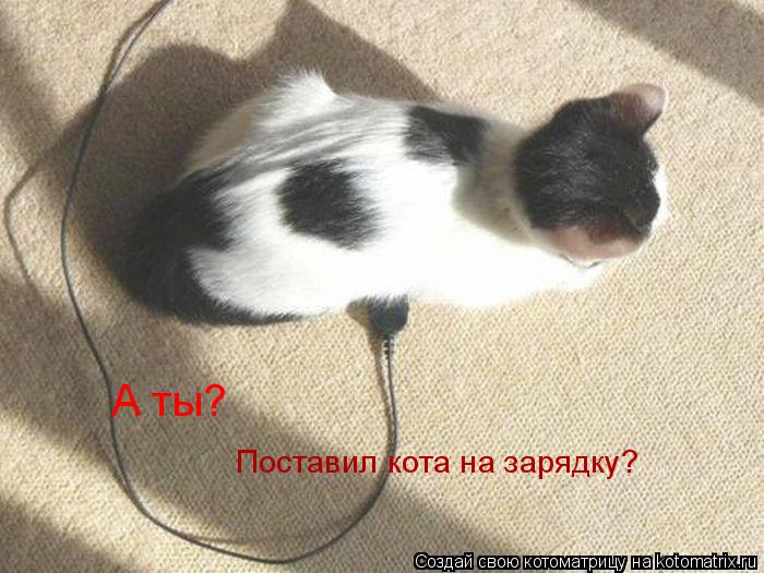 А ты? Поставил кота на зарядку?... Котоматрица: А ты? Поставил кота на зарядку?