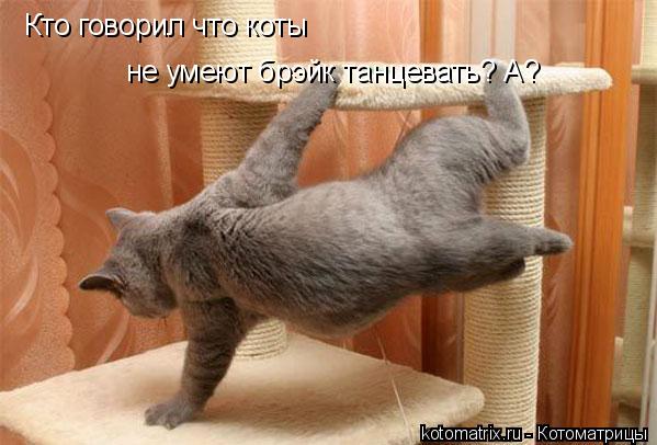 Кто говорил что коты не умеют брэйк танцевать? А?... Котоматрица: Кто говорил что коты не умеют брэйк танцевать? А?