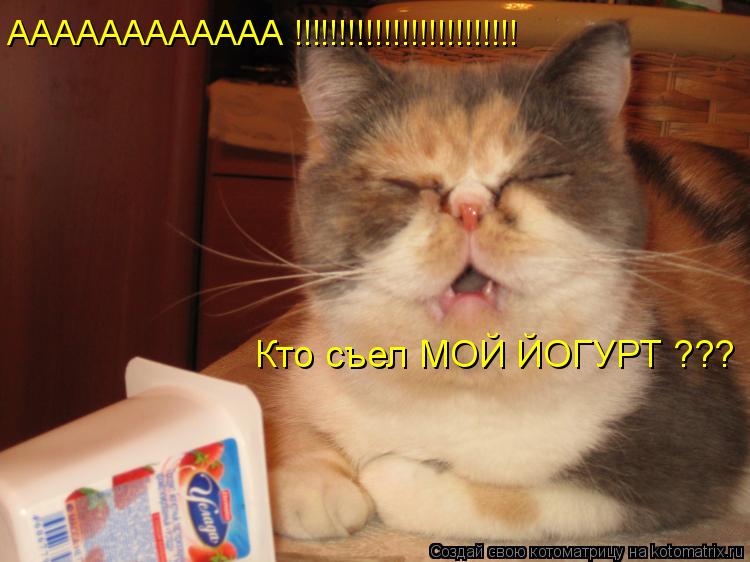 Кто съел МОЙ ЙОГУРТ ??? АААААААААААА !!!!!!!!!!!!!!!!!!!!!!!!!... Котоматрица: Кто съел МОЙ ЙОГУРТ ??? АААААААААААА !!!!!!!!!!!!!!!!!!!!!!!!!