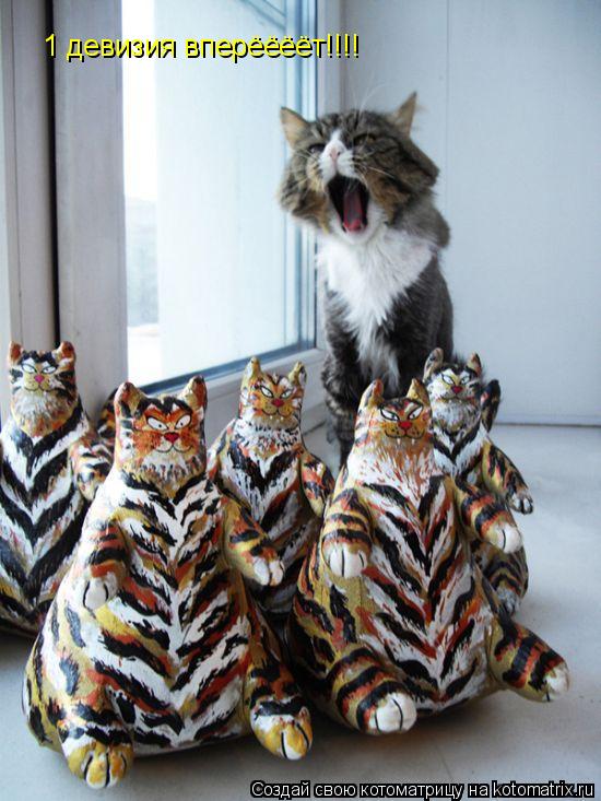 1 девизия вперёёёёт!!!!... Котоматрица: 1 девизия вперёёёёт!!!!