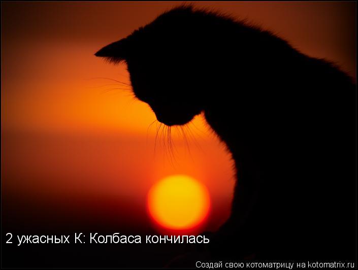 2 ужасных К: Колбаса кончилась... Котоматрица: 2 ужасных К: Колбаса кончилась