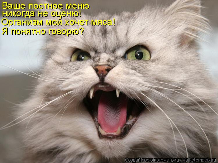 Ваше постное меню никогда не оценю! Организм мой хочет мяса! Я понятно говорю?... Котоматрица: Ваше постное меню никогда не оценю! Организм мой хочет мяса! Я понятно говорю?