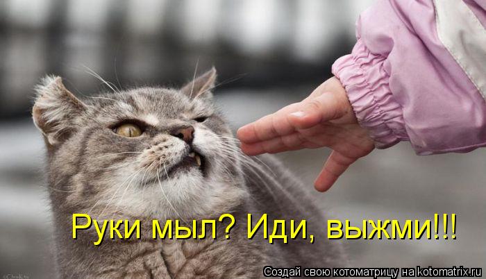 Руки мыл? Иди, выжми!!!... Котоматрица: Руки мыл? Иди, выжми!!!