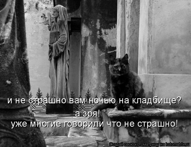 и не страшно вам ночью на кладбище? а зря! уже многие говорили что не страшно!... Котоматрица: и не страшно вам ночью на кладбище? а зря! уже многие говорили что не страшно!