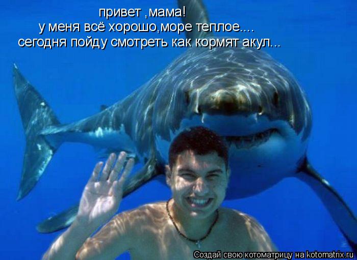 привет ,мама! у меня всё хорошо,море теплое.... сегодня пойду смотреть как кормят акул...... Котоматрица: привет ,мама! у меня всё хорошо,море теплое.... сегодня пойду смотреть как кормят акул...