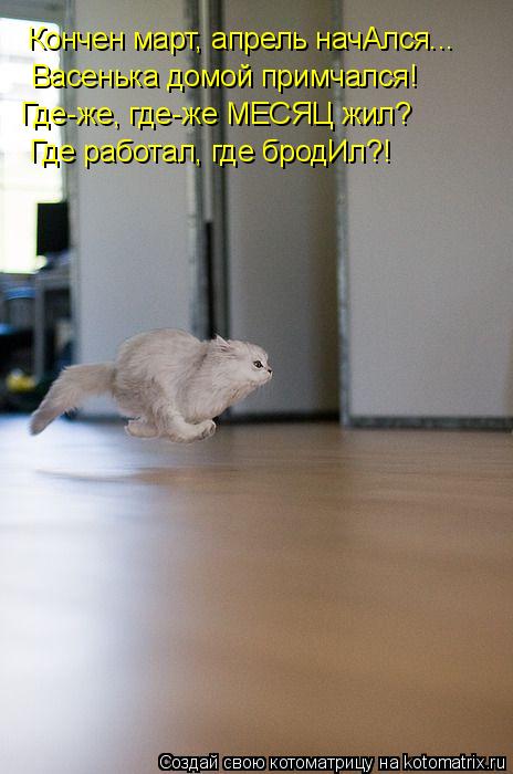 Кончен март, апрель начАлся... Васенька домой примчался! Где-же, где-же МЕСЯЦ жил? Где работал, где б... Котоматрица: Кончен март, апрель начАлся... Васенька домой примчался! Где-же, где-же МЕСЯЦ жил? Где работал, где бродИл?!