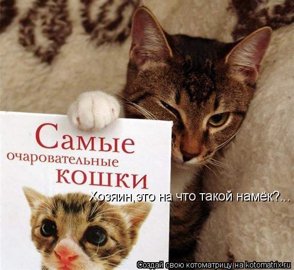 Хозяин,это на что такой намёк?...... Котоматрица: Хозяин,это на что такой намёк?...