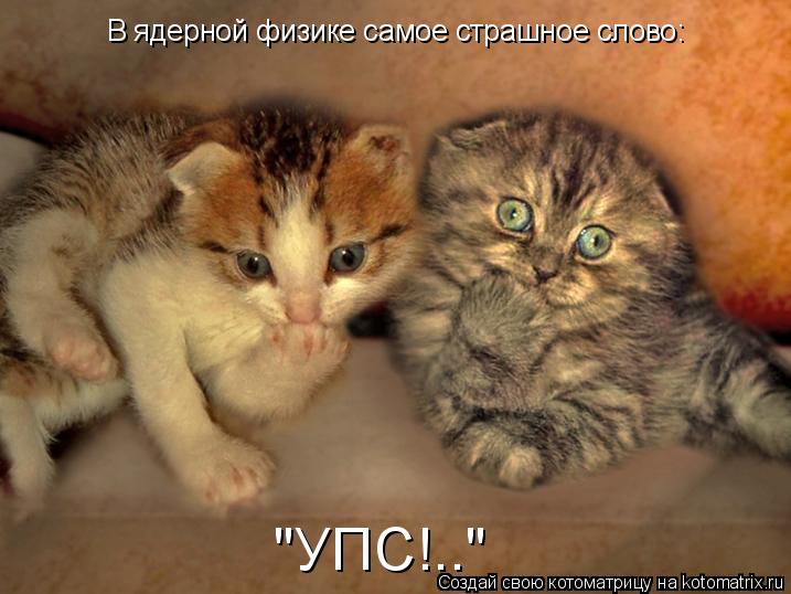 В ядерной физике самое страшное слово: "УПС!.."... Котоматрица: В ядерной физике самое страшное слово: "УПС!.."